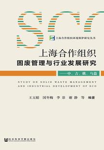 盛世大崛起