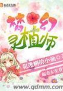 侠盗之王