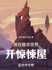 五鬼侠盗