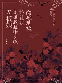 创世净土