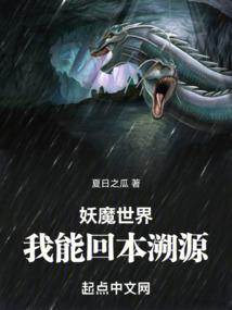 月亮城的赛博疯子