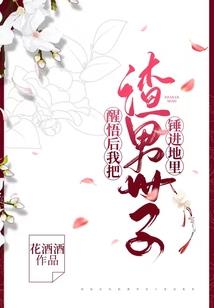 红尘录之锦上珠华