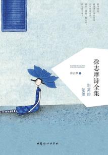 听风谈及你