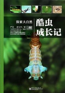 归道之魂