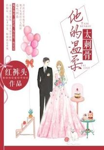 二次元诗歌