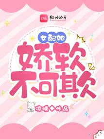 boss的生活日记