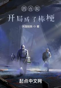 宠物小精灵之小翼