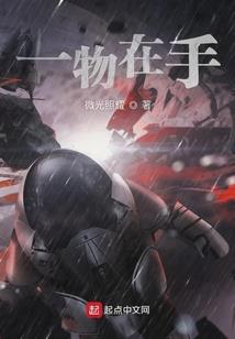 精灵宝可梦神赐之子