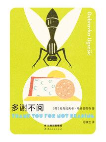 代号17区