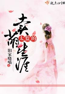 大宋隐龙录之鬼王爷