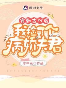 紫府仙途