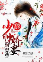 重生九六之良心系统