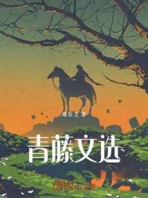 我家娘子会武功