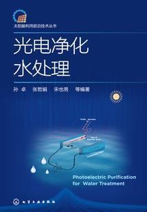 夜影联盟之希望的崛起
