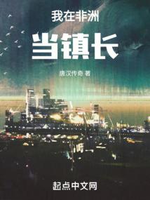 穿越之浴血凤凰