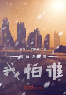 遗迹大陆之命运之路