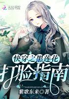光明之上