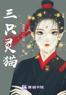 洞天福地系统