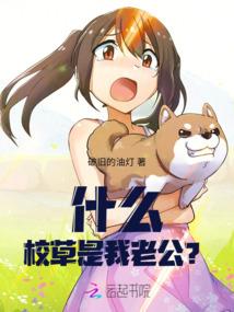 穿越明朝当老大