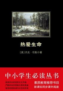 雨落微殇