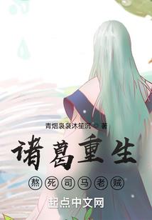 见习审查官