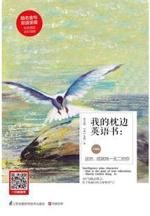 八神九域