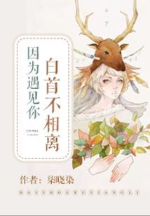 月神传之剑圣