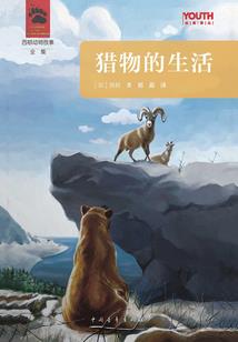 吾师为仙