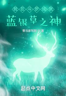 念南顾北